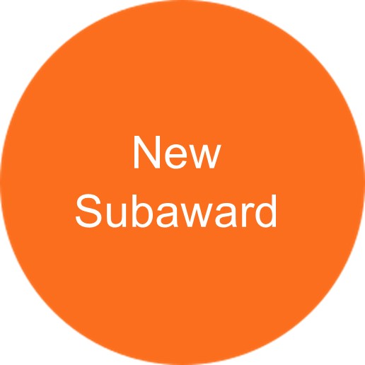 New Subaward